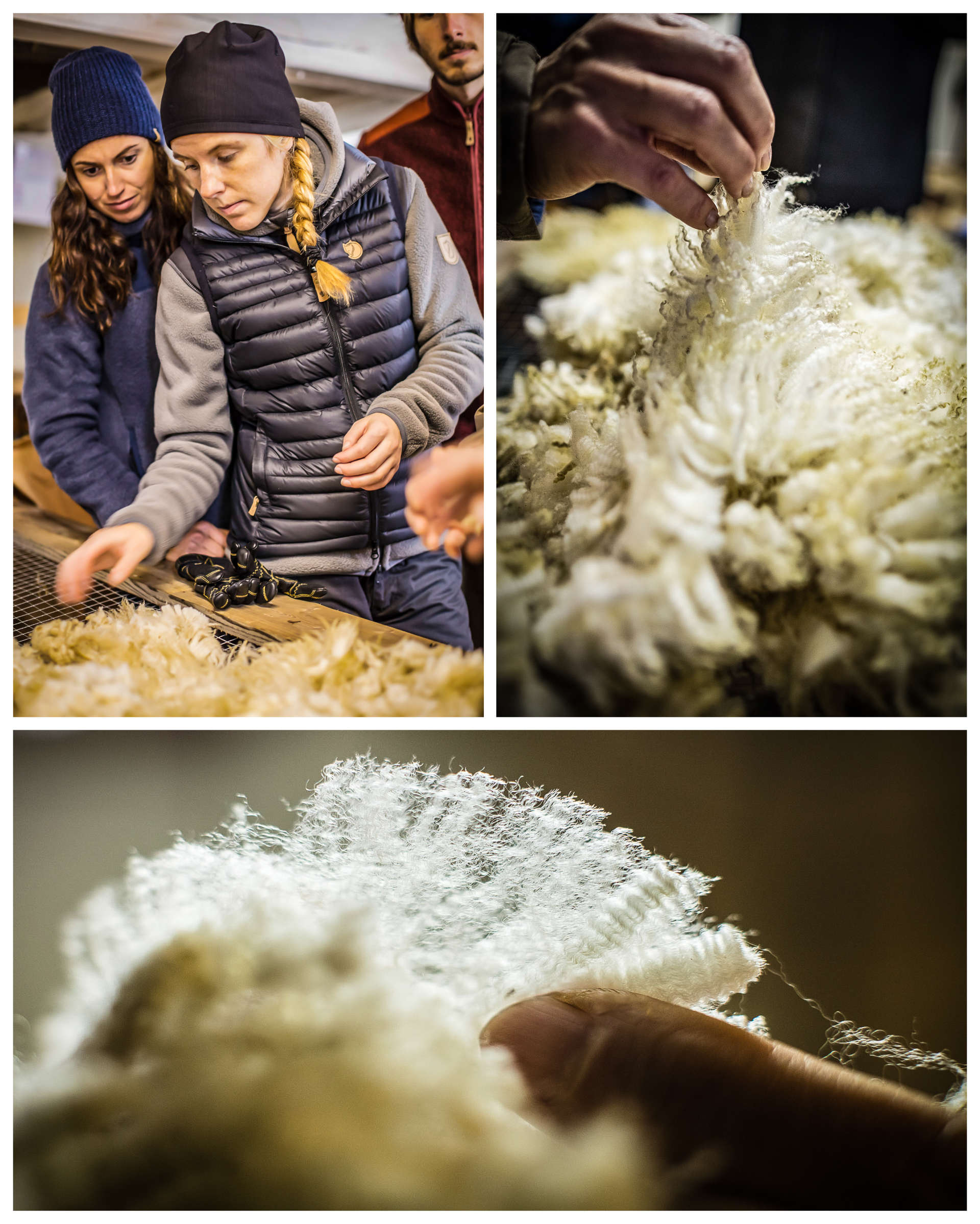 Testing wool att the Brattland Farm