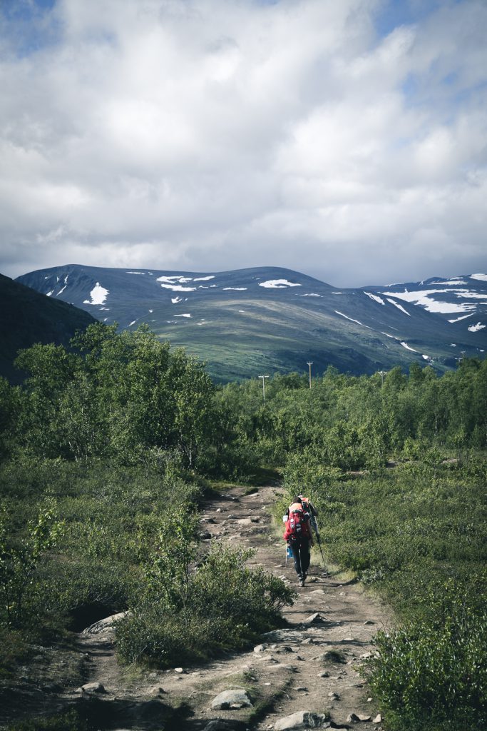 Hikers trekking in the Swedish wilderness