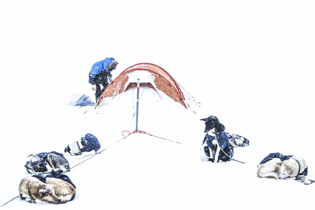 Winter camping, sled dogs, fjällräven tents, fjallraven tents