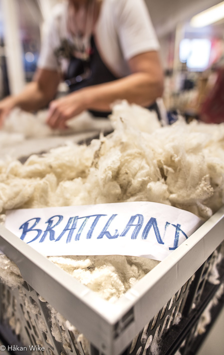 Brattland wool