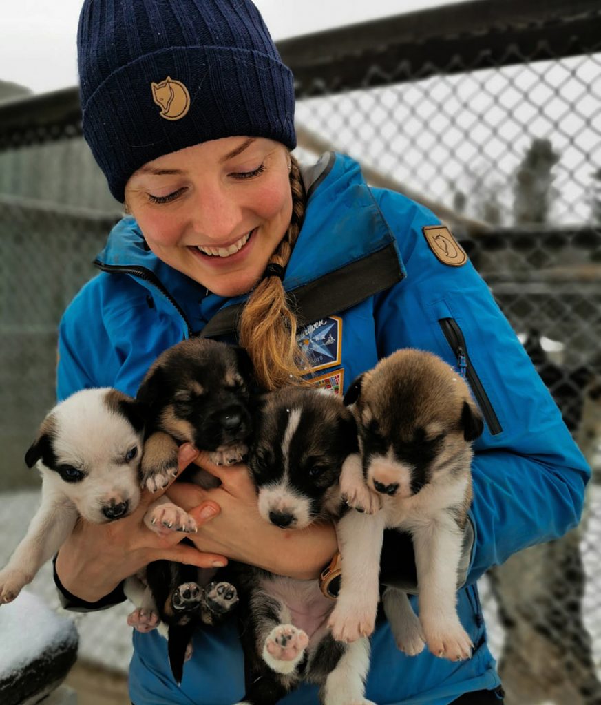 Kitty Zaja with sled dog puppies
