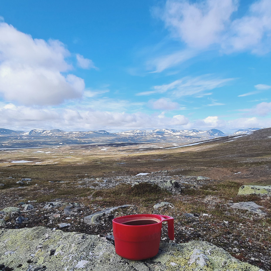 A cup of coffee in mountain scenery